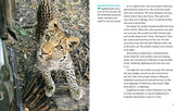 Face to Face with Leopards: Level 6 (National Geographic Readers) - The English Bookshop Kuwait